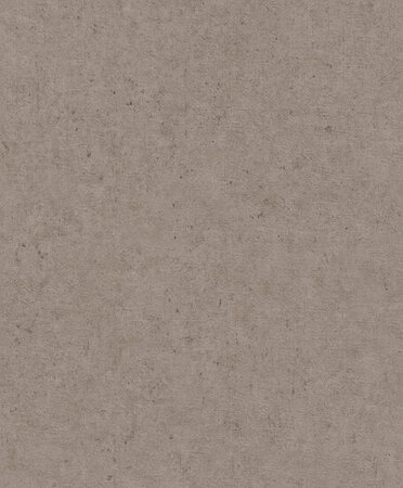 Rasch Concrete 520873