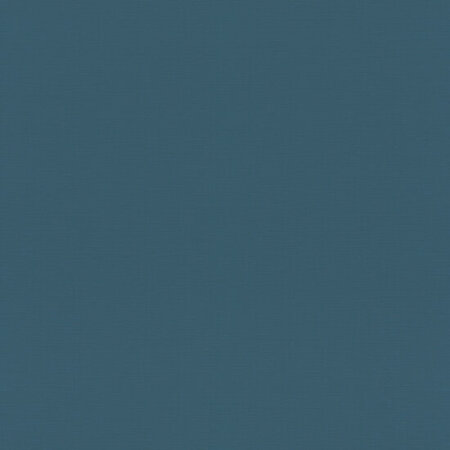 Rasch Rhapsody / Symphony / Allegretto 688016 Blauw