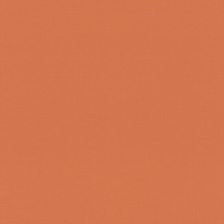 Rasch Tropical House / Allegretto 687569
