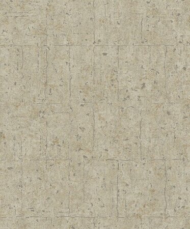 Noordwand Assorti 2024 -  6801-30 Beige - Metallic