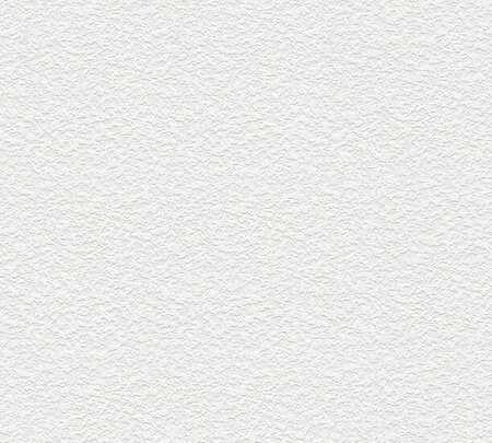 AS Creation 111 Shades of White 6416-18 / 641618 - Wit