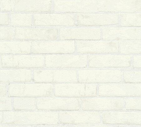 AS Creation 111 Shades of White 90785-1 - 907851 / Zilver