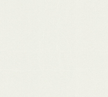 AS Creation 111 Shades of White 93676-1 / 936761 - Wit