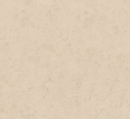 HookedOnWalls Terra Cotta 42124 (Met Gratis Lijm!)