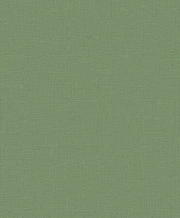 Dutch Wall Decor Daphne CC100507 Groen