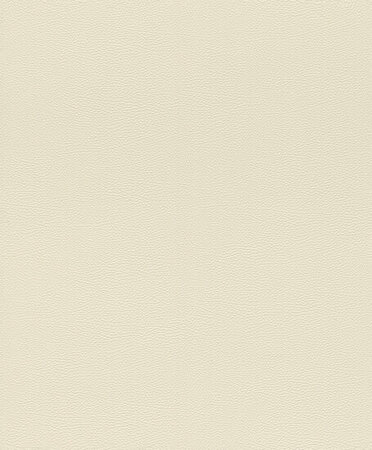 Rasch African Queen 3 - 752625 Beige