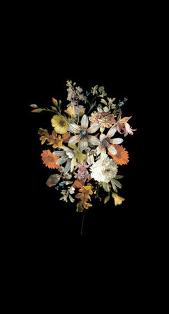 Esta Home Vintage Flowers zwart 159215 (*Gratis Lijm Actie) - Zwart