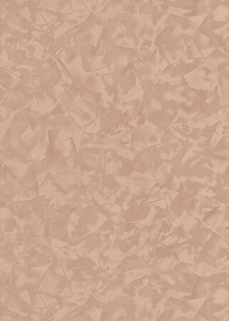 Dutch Wall Decor Erismann Elle Decoration 3 10329-48 Brons