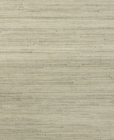 Arte Les Frets INFINI 48021 (Incl. Gratis Lijm*)