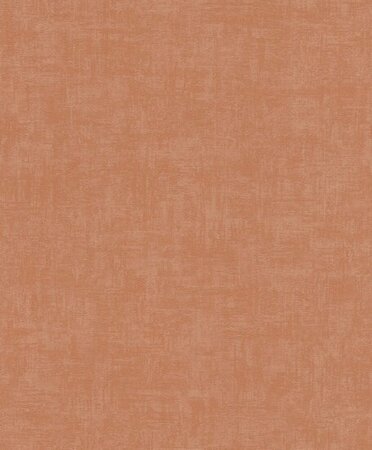 Rasch Selection - 489606 Oranje