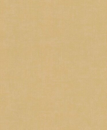 Rasch Selection - 489644 Geel
