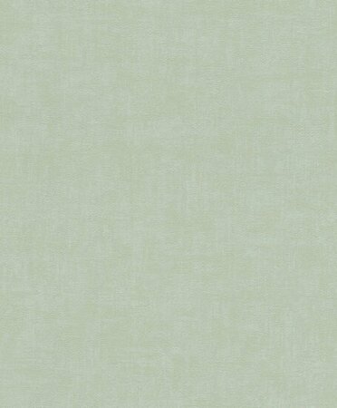 Rasch Selection - 489651 Groen