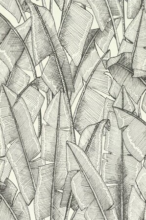 Rasch Selection - 690408 Zwart