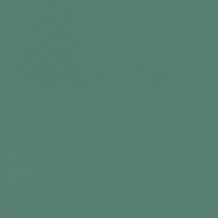 Rasch Selection - 807615 Groen