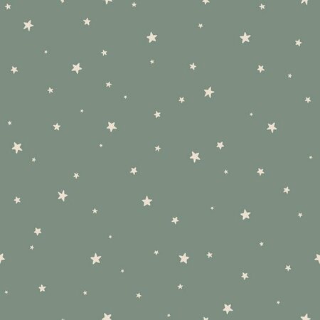 Esta Home Sterren 139689 (*Gratis Lijm) Groen Blauw