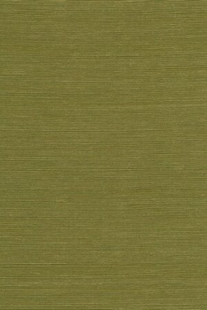 Arte Boutique Agave 90531 Groen (Incl. Gratis Lijm*)