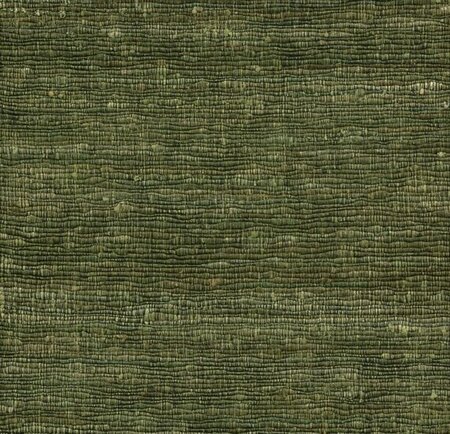 Arte Wild Silk KATIA SILK 86503 Groen (Incl. Gratis Lijm*)