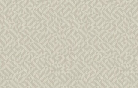 HookedOnWalls CABANE YUCCA 20950 (Met Gratis Lijm!) Taupe