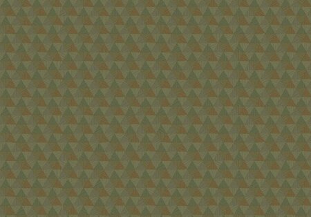 HookedOnWalls JV 602 JAIPUR TRIANGLES TROPICALES 6834 (Met Gratis Lijm!)