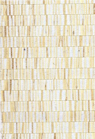 Arte ALL NATURALS FRINGE 40320A Crème / Zilver(Incl. Gratis Lijm*)