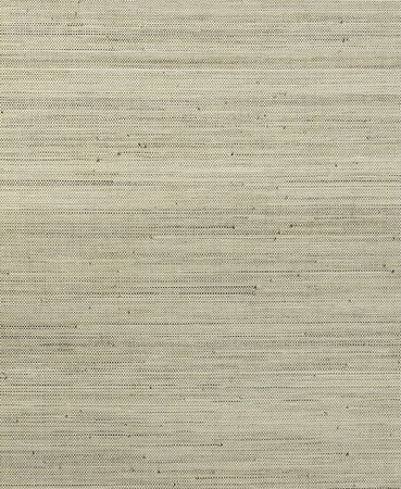 Arte ALL NATURALS INFINI 48021A Wit / Groen (Incl. Gratis Lijm*)