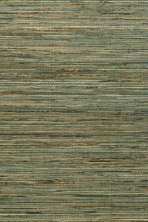 Arte ALL NATURALS SAMBE 54551A Beige / Groen (Incl. Gratis Lijm*)
