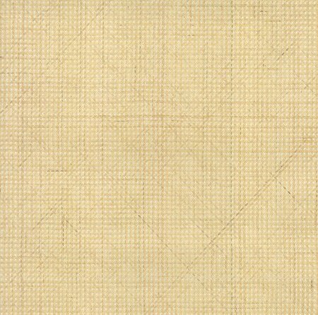 Arte ALL NATURALS RATTAN 85540A Crème / Beige (Incl. Gratis Lijm*)