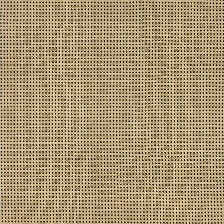 Arte ALL NATURALS RATTAN 85541A Beige (Incl. Gratis Lijm*)