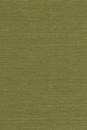 Arte ALL NATURALS AGAVE 90531A Groen (Incl. Gratis Lijm*)