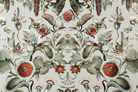 Arte MOOOI GREEN HOUSE COCCINELLA BELLA MO5000 Multicolour (Incl. Gratis Lijm*)