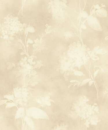 Rasch Florentine IV 481419 - Beige