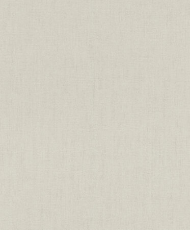 Rasch Florentine IV 484748 - Grijs