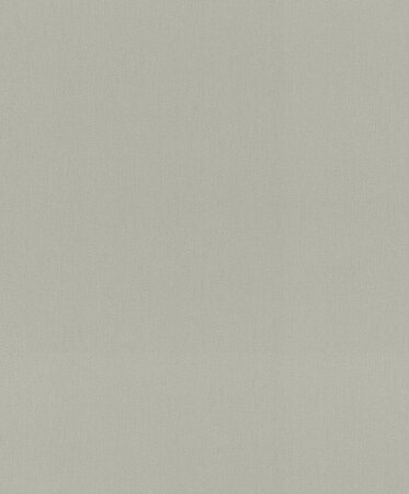 Rasch Amara / Incanto 720167 Grijs