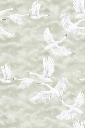 Boråstapeter Studio Clouds Swans 9414W