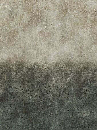 Boråstapeter Studio Ombre Concrete 9435W