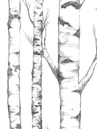 Boråstapeter Studio Tree 9451W