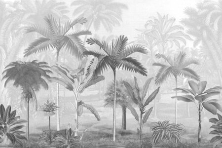 Boråstapeter Studio Vintage Palms 9452W