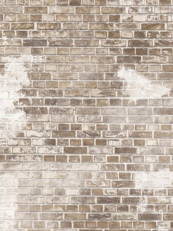 Boråstapeter Studio Weathered Bricks 9535W