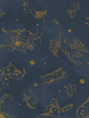Boråstapeter Studio Constellations 9561W