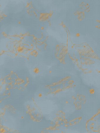 Boråstapeter Studio Constellations 9562W