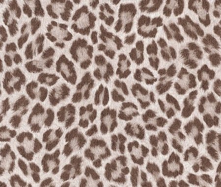 Rasch African Queen II 473629