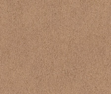 Rasch African Queen II 422696