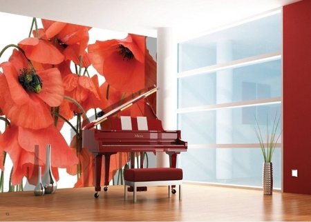AG Design Fotobehang Klaprozen FTS0479