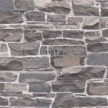 Esta Brooklyn Bridge 138519