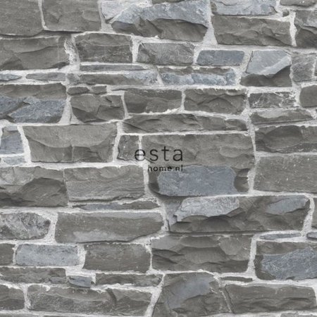 Esta Brooklyn Bridge 138521