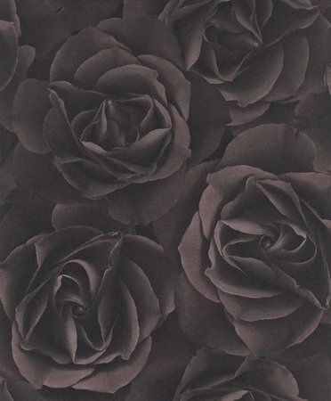 RASCH Crispy Paper 525618