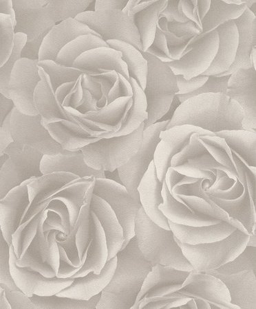 RASCH Crispy Paper 525601