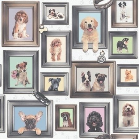 Honden behang 272703