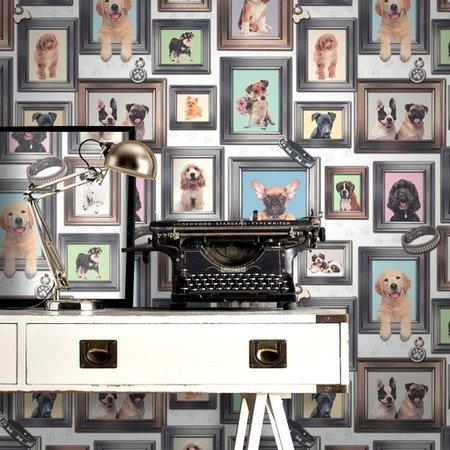 Honden behang 272703
