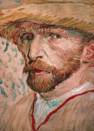 Evolution V fotobehang 1426 Vincent van Gogh Selfportait